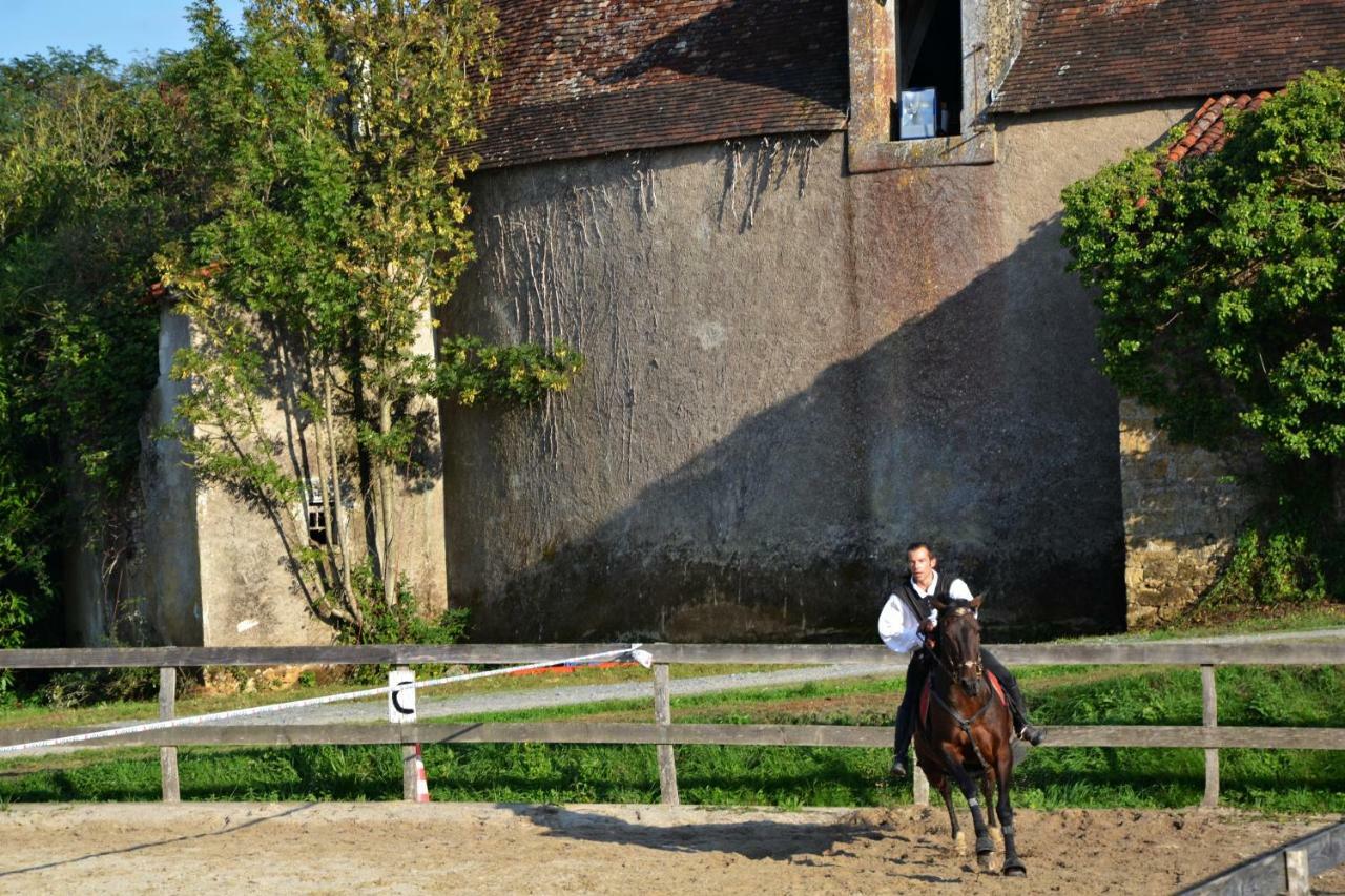 Chateau Des Noces Bazoges-en-Pareds Exterior photo